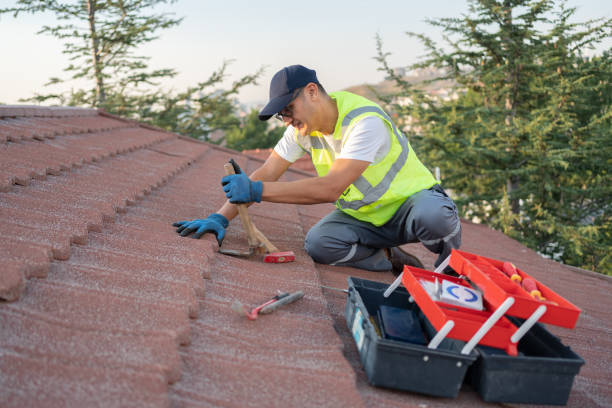 Best Local Roofing Companies  in Fraser, MI